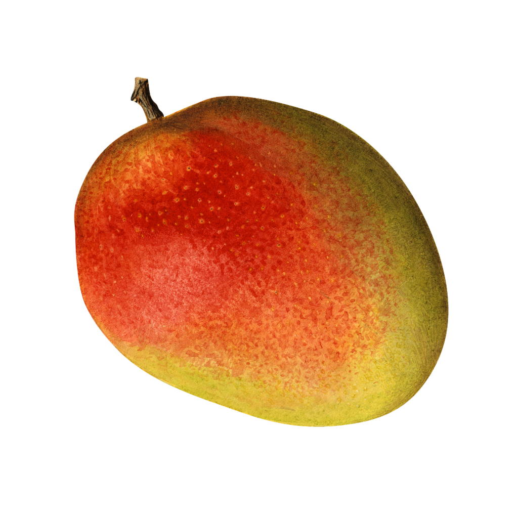 Mango ECO