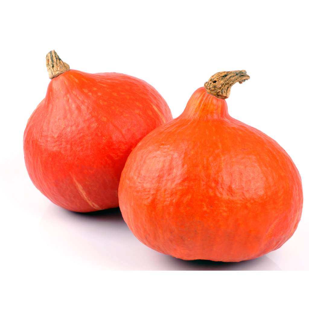 Carbassa Potimarron ECO