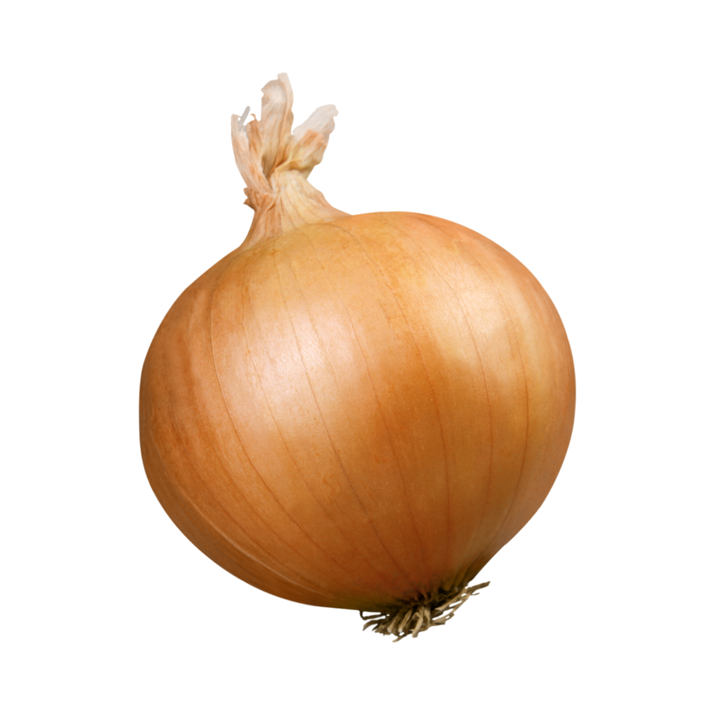 Ceba Reca Gran ECO