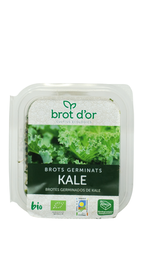 [04655] Germinat Kale ECO