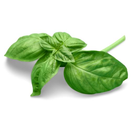 [BOT/04584] Alfàbrega Verda ECO