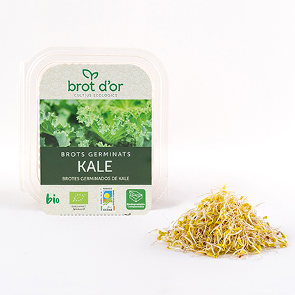 [04655] Germinat Kale ECO