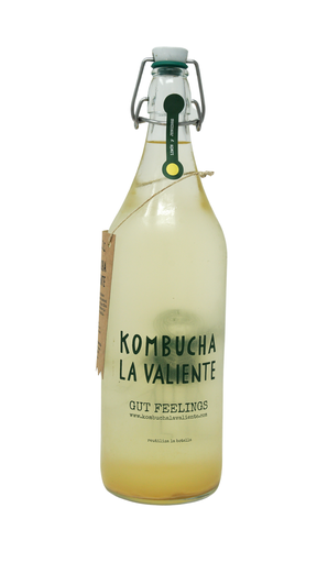 [BOT/00010] Kombucha Taraonja Pastanaga 1L ECO