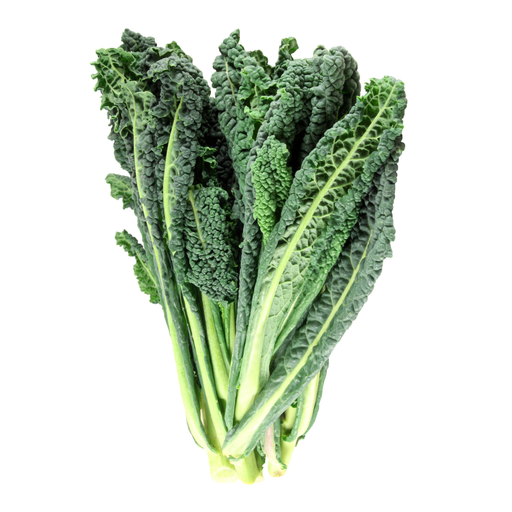 [04241] Col Kale Pluma ECO