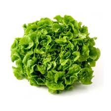 [BOT/04822] Enciam Roure Verd Unitats ECO