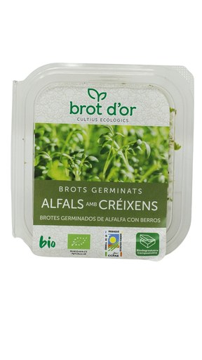 [03284] Germinat Alfals i Créixens ECO