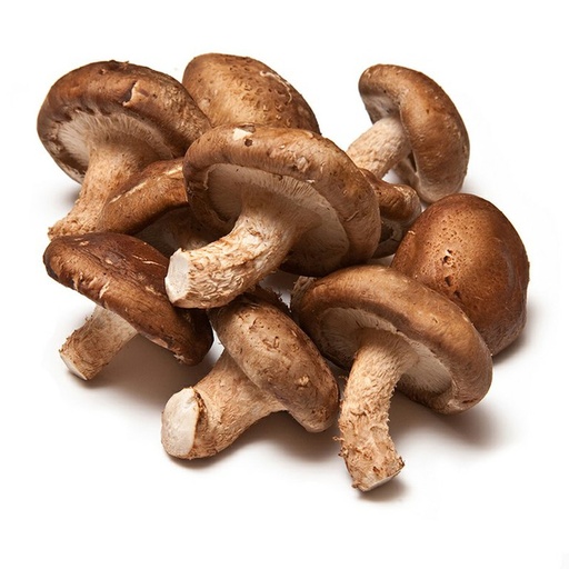 [03322] Shitake ECO