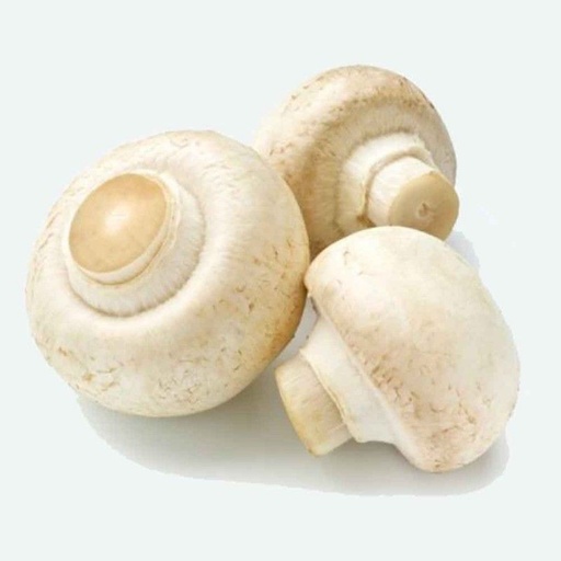 [01018] Xampinyons Blanc ECO